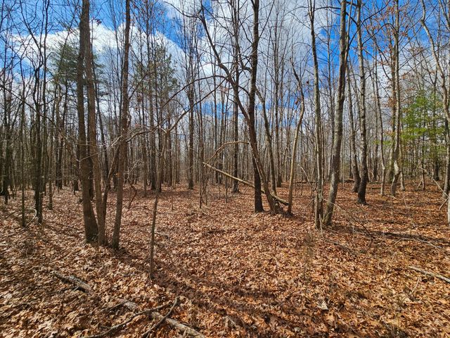 10 Griswold Road, Altamont, TN 37301