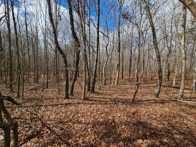 10 Griswold Road, Altamont, TN 37301