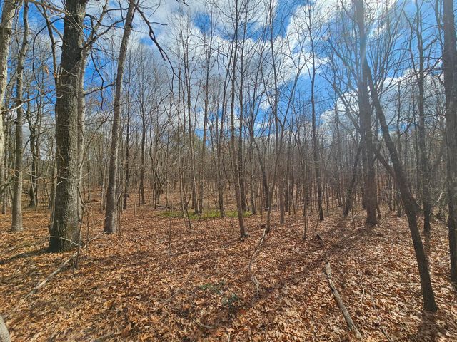 10 Griswold Road, Altamont, TN 37301