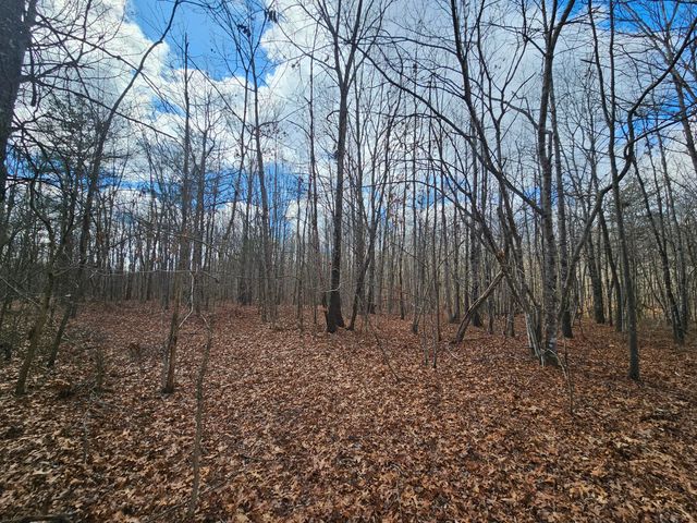 10 Griswold Road, Altamont, TN 37301