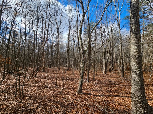 10 Griswold Road, Altamont, TN 37301