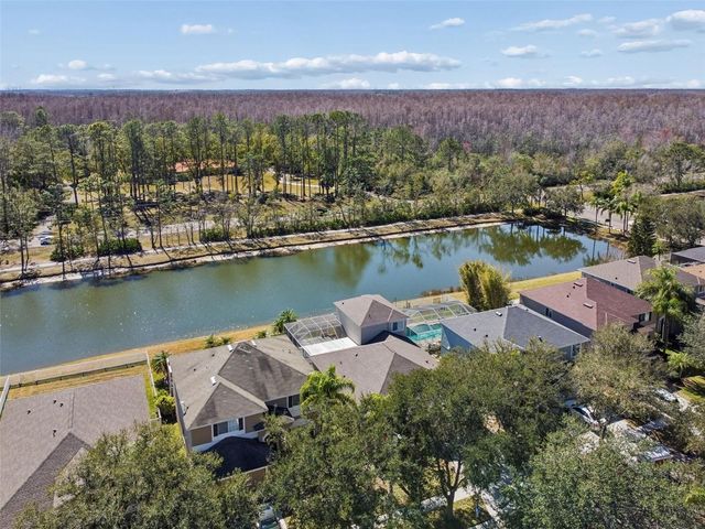 18922 FISHERMANS BEND DRIVE, Lutz, FL 33558