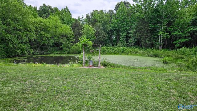 8228 US Highway 72, Athens, AL 35611