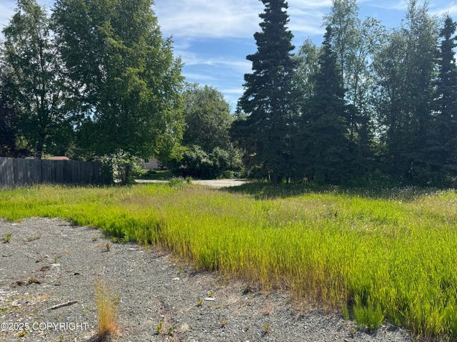 12241 Mary Avenue, Anchorage, AK 99515