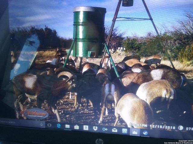 1052 Steep rd, Del Rio, TX 78840