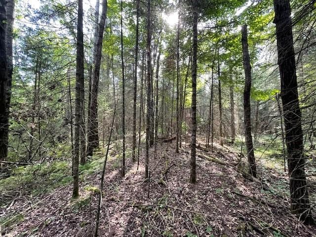 0 Airport Road, Hayward, WI 54843