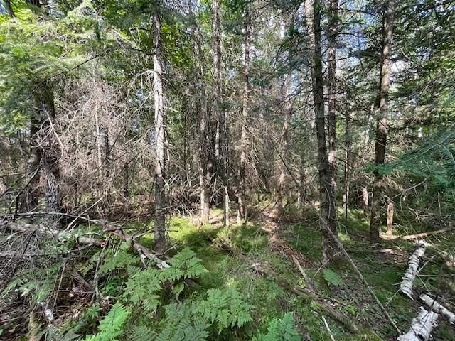 0 Airport Road, Hayward, WI 54843