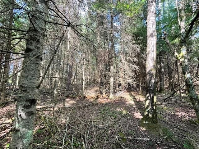 0 Airport Road, Hayward, WI 54843