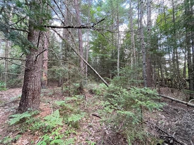 0 Airport Road, Hayward, WI 54843