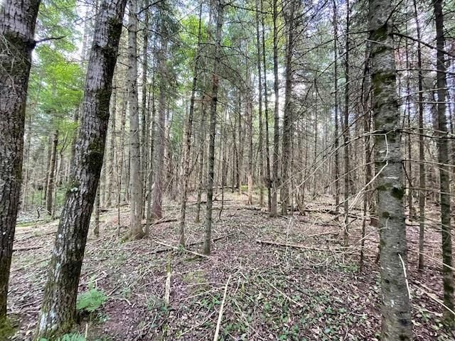 0 Airport Road, Hayward, WI 54843