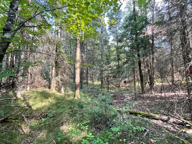 0 Airport Road, Hayward, WI 54843