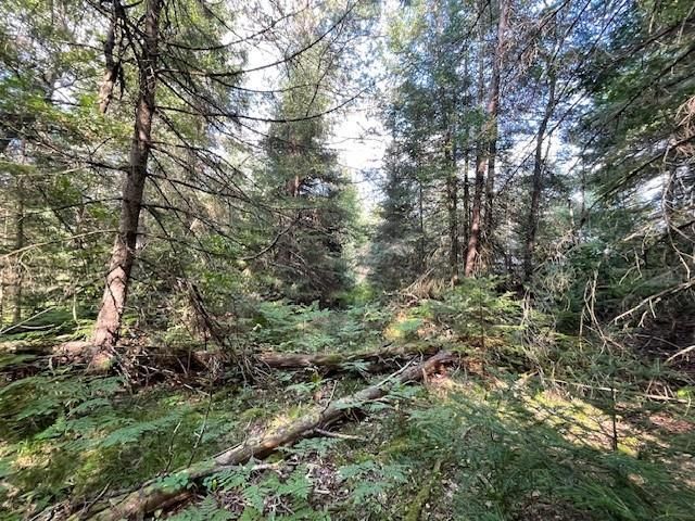 0 Airport Road, Hayward, WI 54843