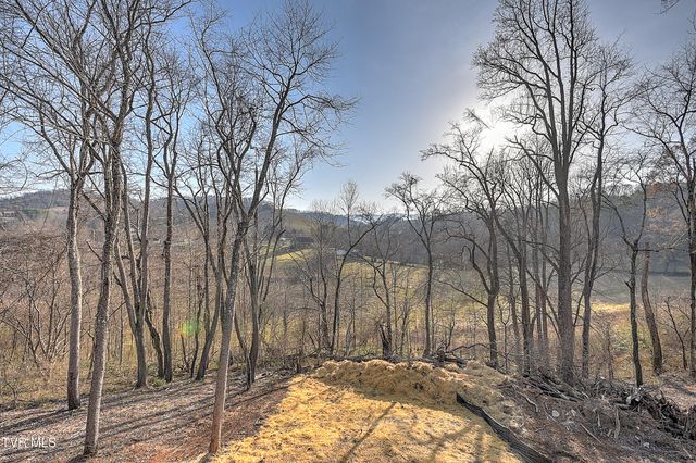 143 Daniel Lane, Elizabethton, TN 37643