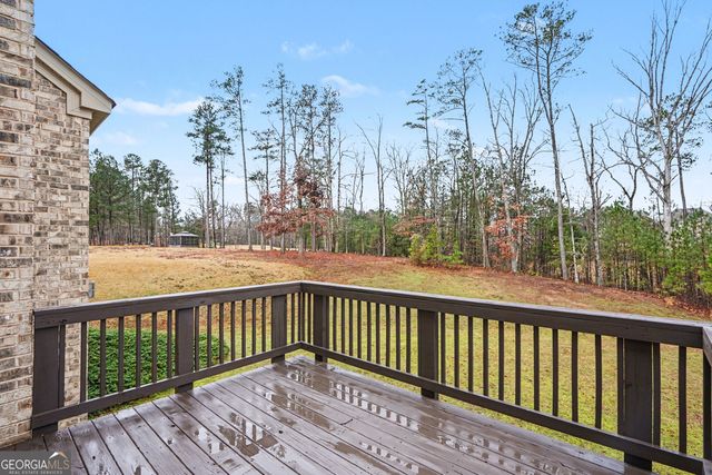 2324 Braunsroth Lane, Hampton, GA 30228