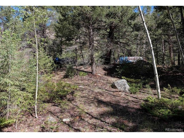 Highway 103 & Cascade Creek Rd, Idaho Springs, CO 80452