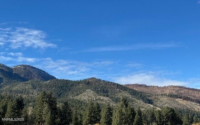 3150 Old US Hwy 395, Washoe Valley, NV 89704