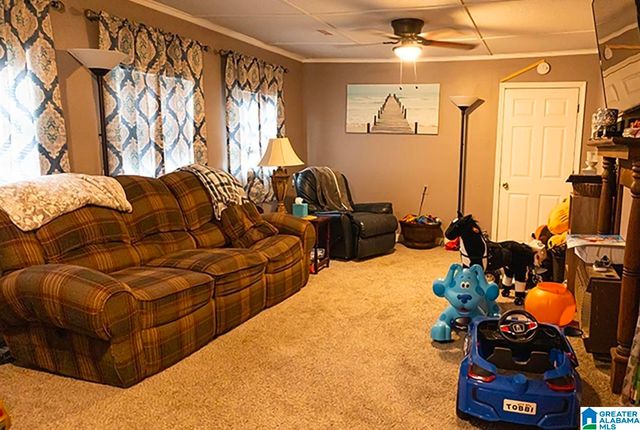 1219 OWENS ROAD, Ashland, AL 36251