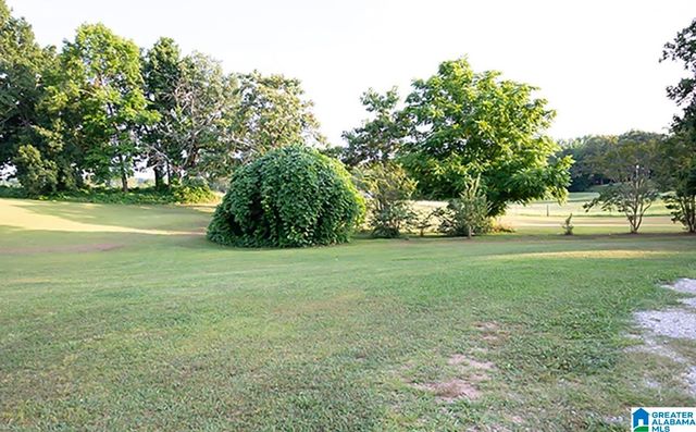 1219 OWENS ROAD, Ashland, AL 36251