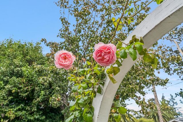 318 Oak Avenue, Redwood City, CA 94061