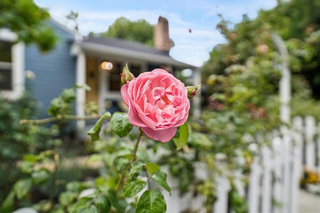 318 Oak Avenue, Redwood City, CA 94061