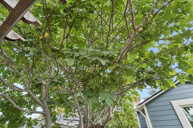 318 Oak Avenue, Redwood City, CA 94061