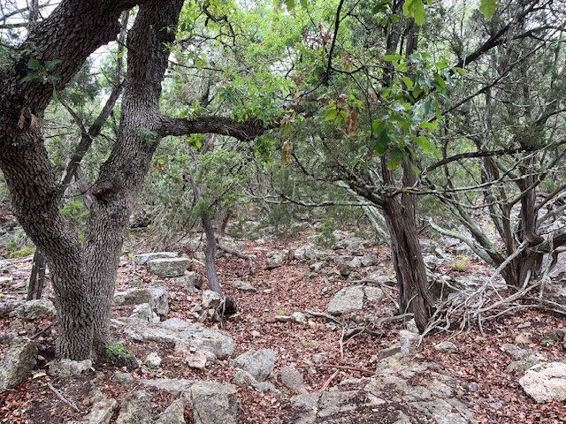 575 Yellowstone Lane, Hunt, TX 78024