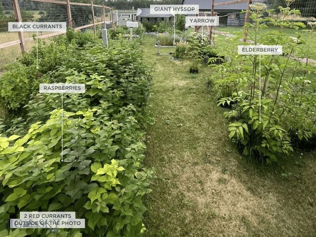 12977 Cottonwood Road, Bozeman, MT 59718