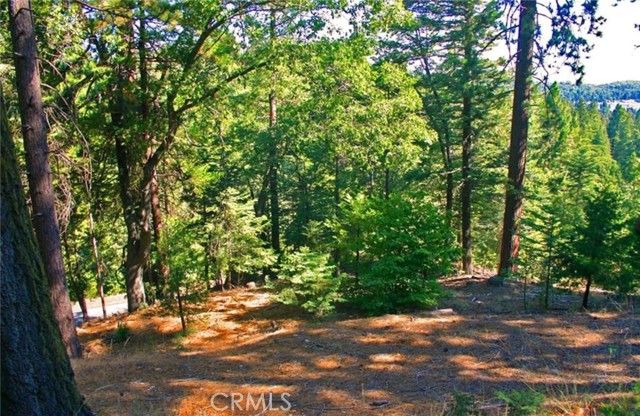 525 Ca-173, Lake Arrowhead, CA 92352