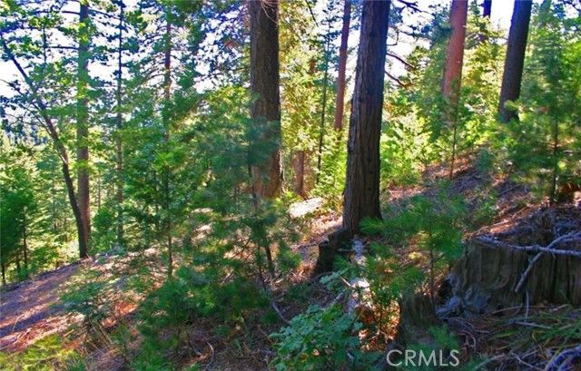 525 Ca-173, Lake Arrowhead, CA 92352