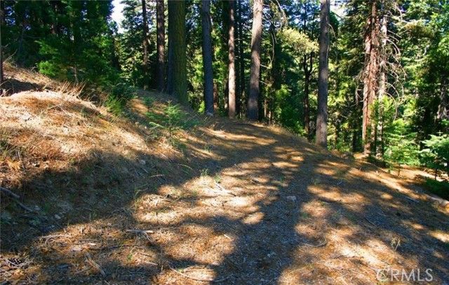 525 Ca-173, Lake Arrowhead, CA 92352