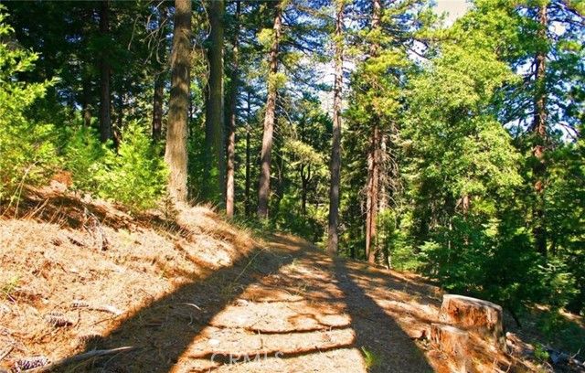 525 Ca-173, Lake Arrowhead, CA 92352