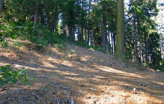 525 Ca-173, Lake Arrowhead, CA 92352