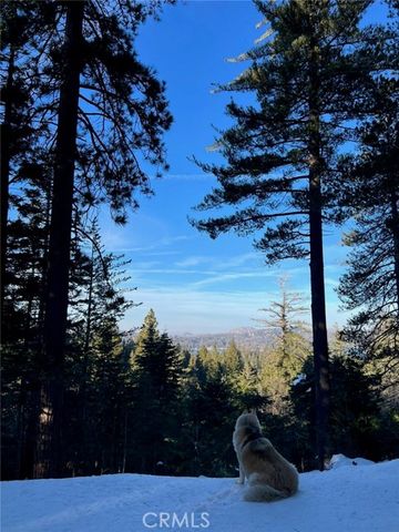 525 Ca-173, Lake Arrowhead, CA 92352