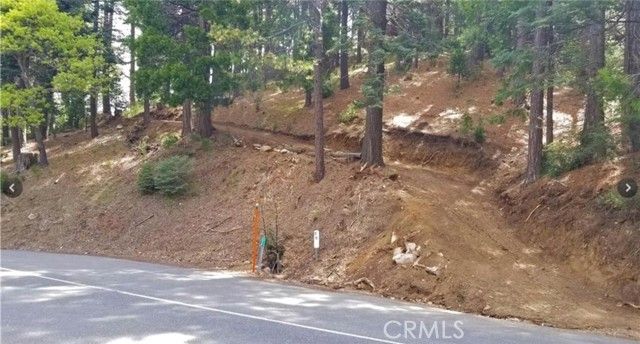 525 Ca-173, Lake Arrowhead, CA 92352