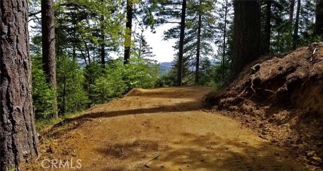 525 Ca-173, Lake Arrowhead, CA 92352