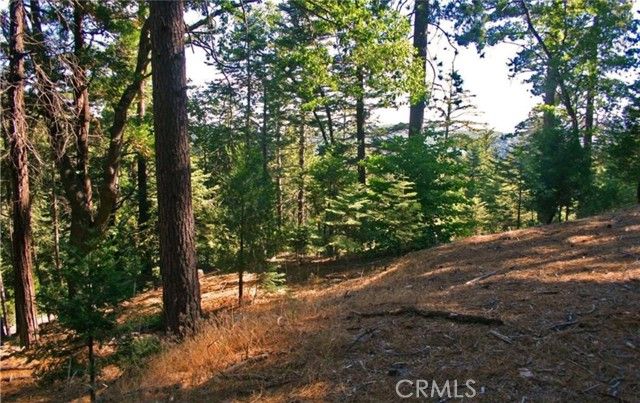 525 Ca-173, Lake Arrowhead, CA 92352