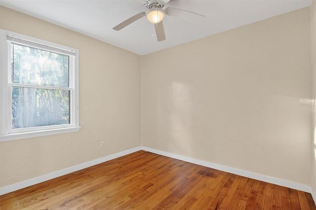 914 NE 6TH AVENUE, Gainesville, FL 32601