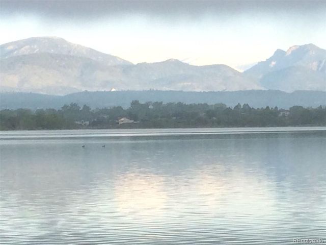 613 Cove Dr, Loveland, CO 80537