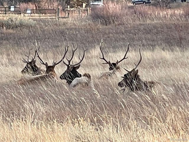 613 Cove Dr, Loveland, CO 80537