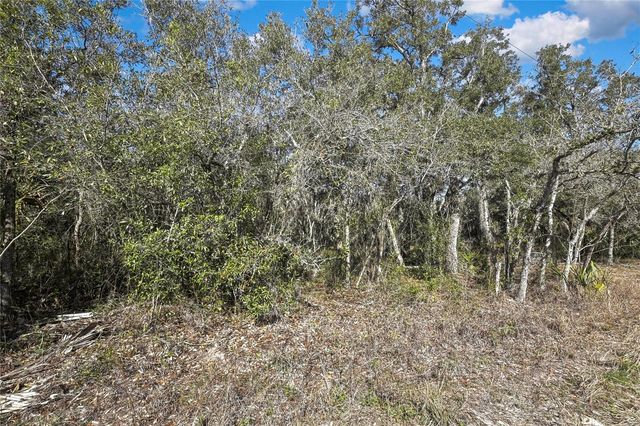 OZARK, Hudson, FL 34667