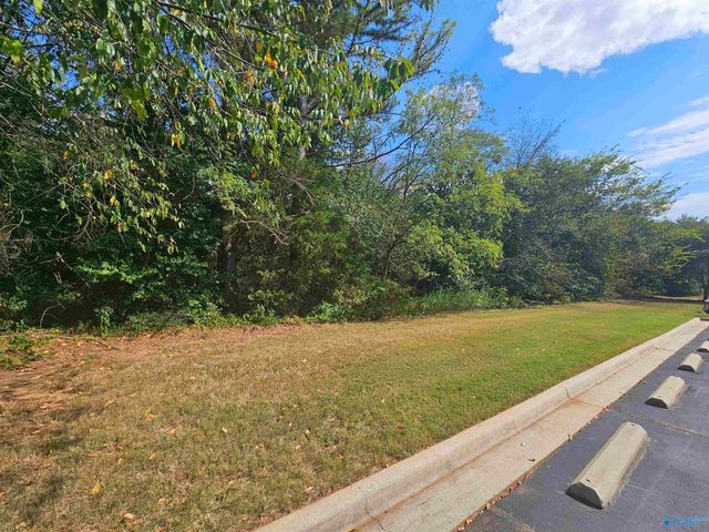 11 Acres Hughes Road, Madison, AL 35758