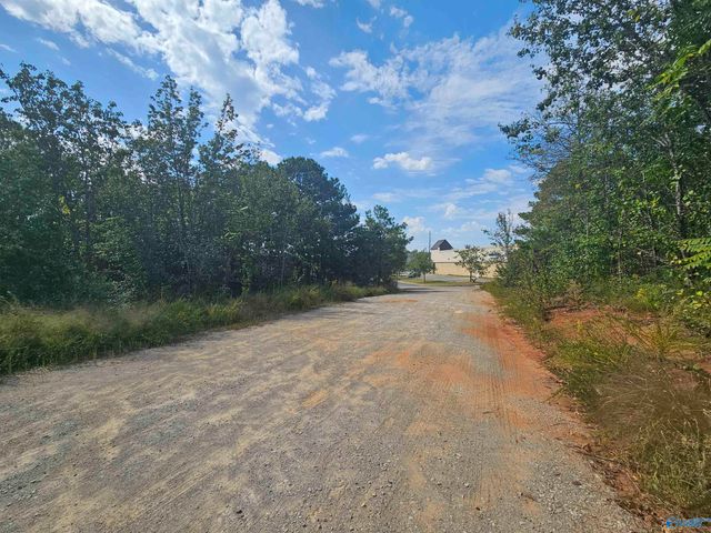 11 Acres Hughes Road, Madison, AL 35758