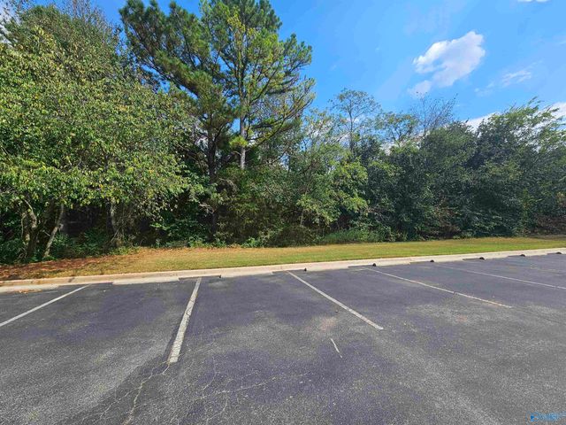 11 Acres Hughes Road, Madison, AL 35758