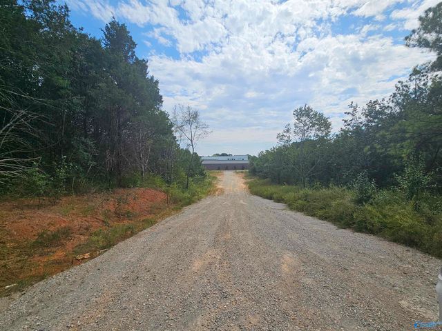 11 Acres Hughes Road, Madison, AL 35758