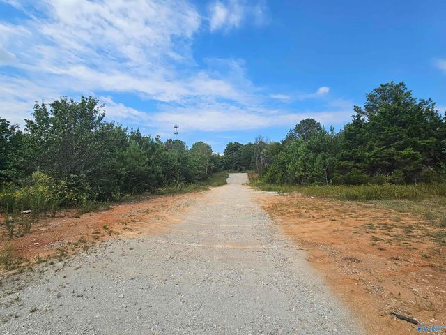 11 Acres Hughes Road, Madison, AL 35758