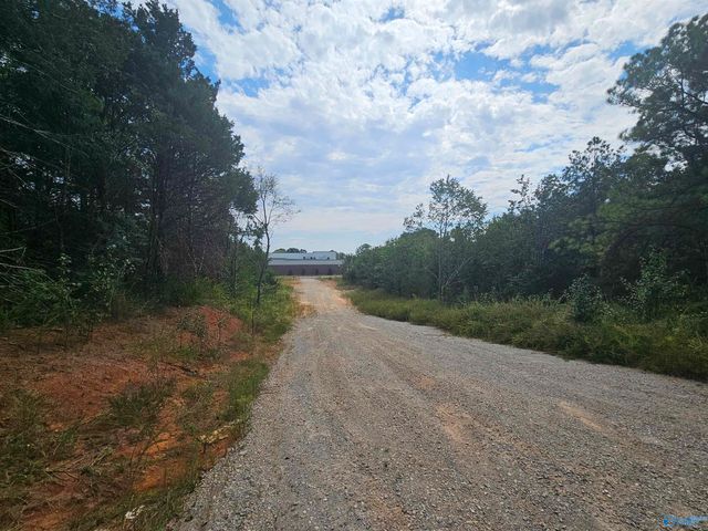 11 Acres Hughes Road, Madison, AL 35758