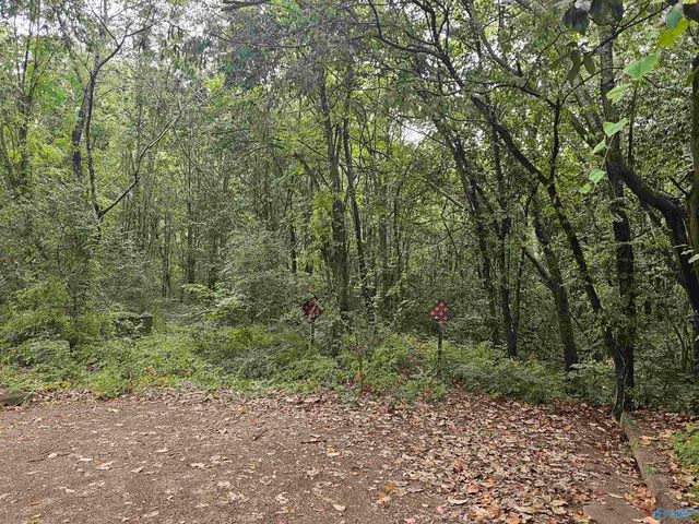 11 Acres Hughes Road, Madison, AL 35758