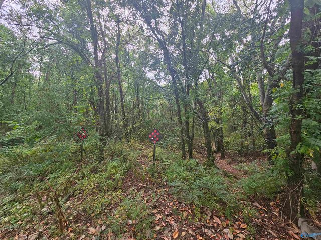 11 Acres Hughes Road, Madison, AL 35758