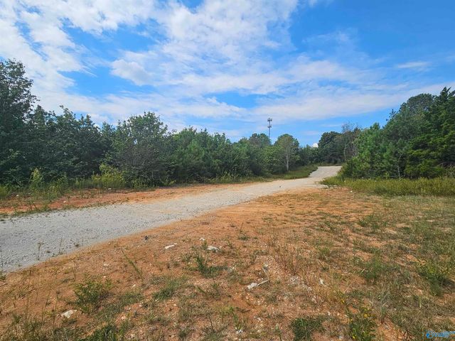 11 Acres Hughes Road, Madison, AL 35758