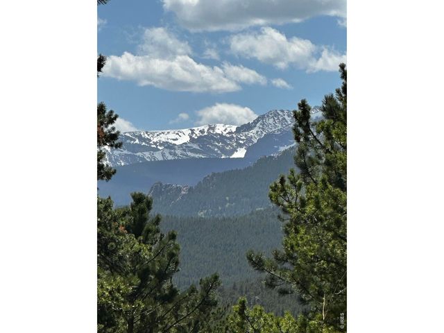 747 Coyote Hill Rd, Allenspark, CO 80510